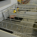 Good load-bearing leakage triangular steel pig floor for farrowing pigs